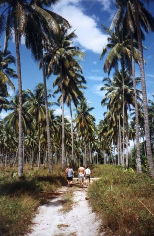 022ajl3001T11-medium